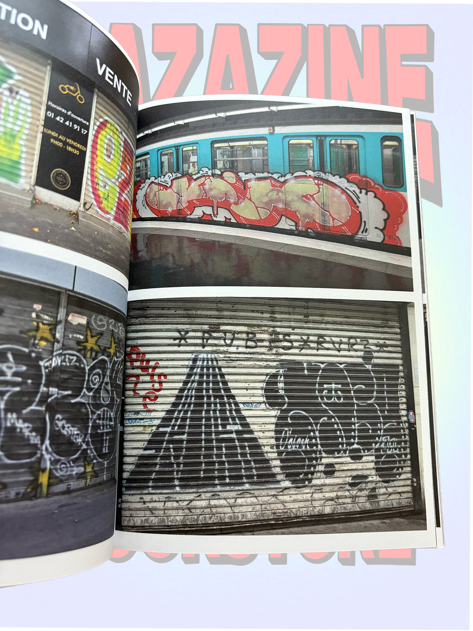 graff.de.Paris-derives picturales