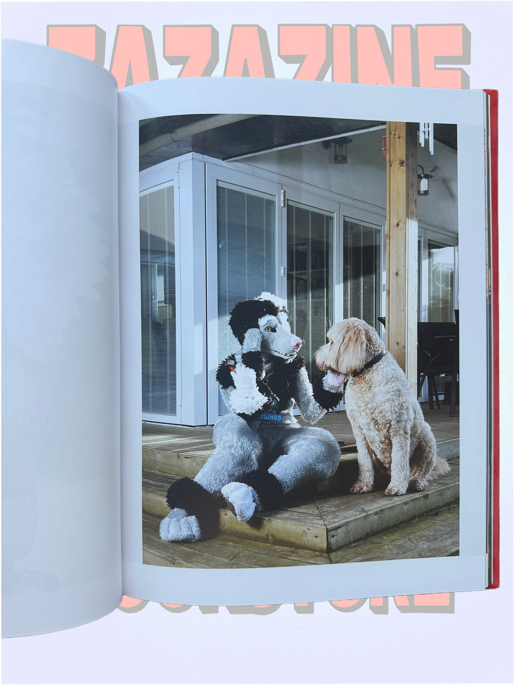 AT HOME WITH THE FURRIES