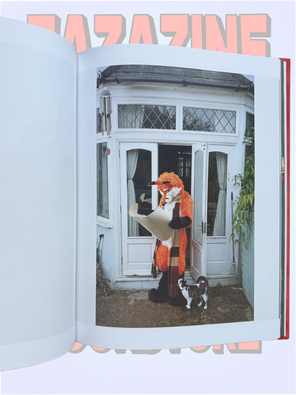 AT HOME WITH THE FURRIES
