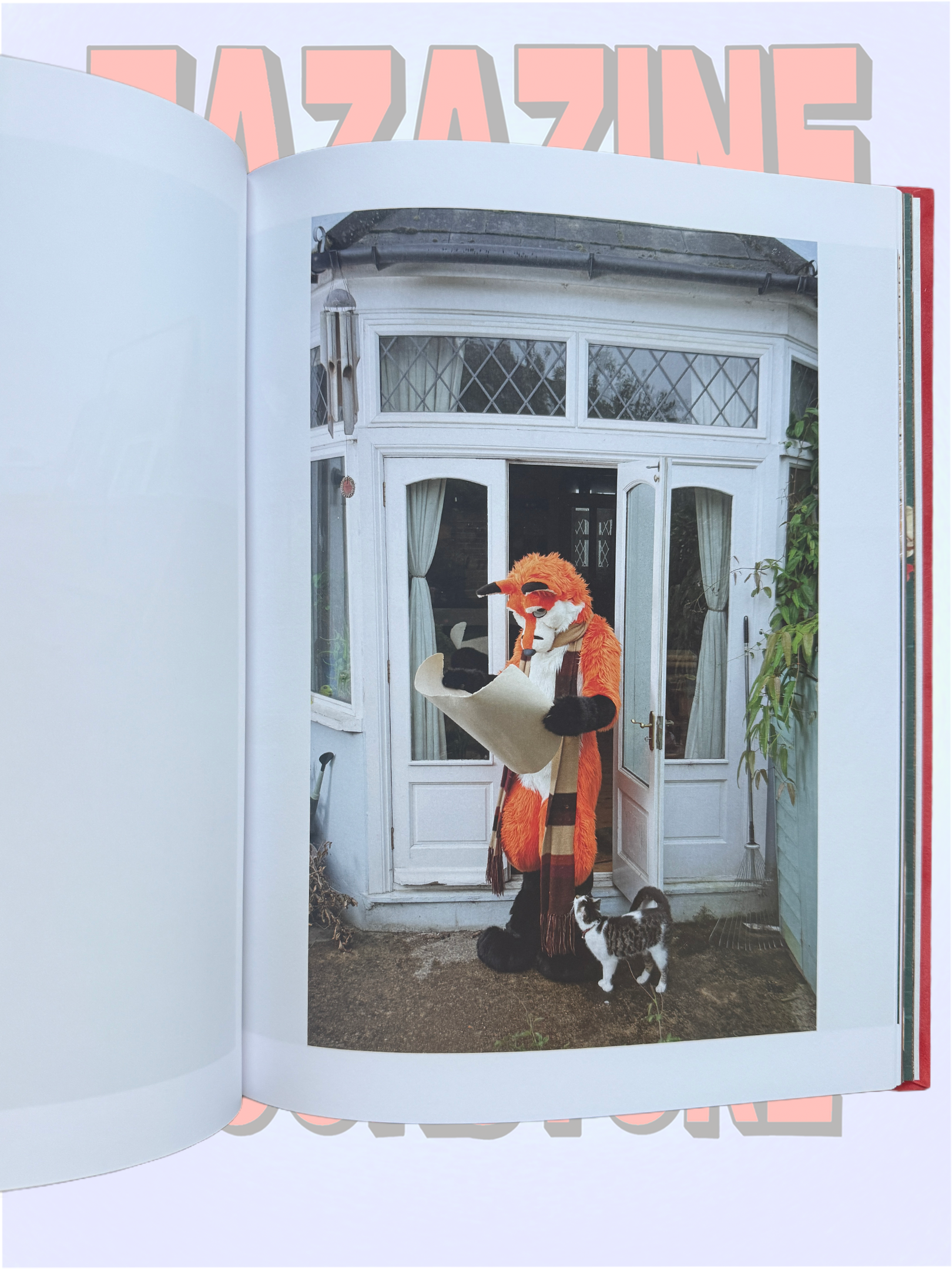 AT HOME WITH THE FURRIES