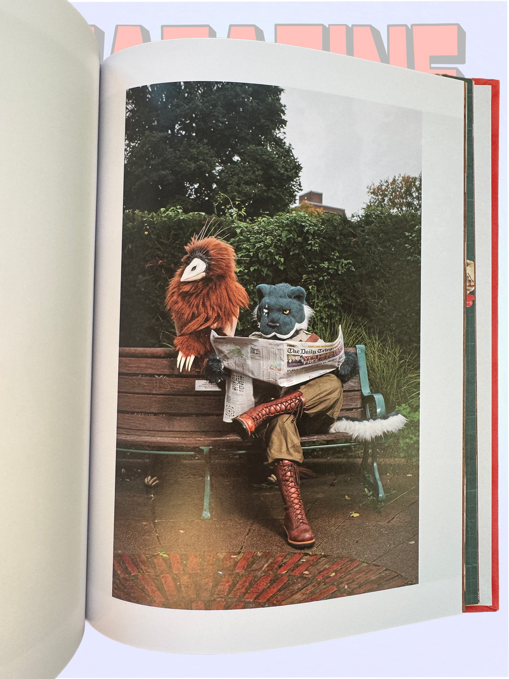 AT HOME WITH THE FURRIES