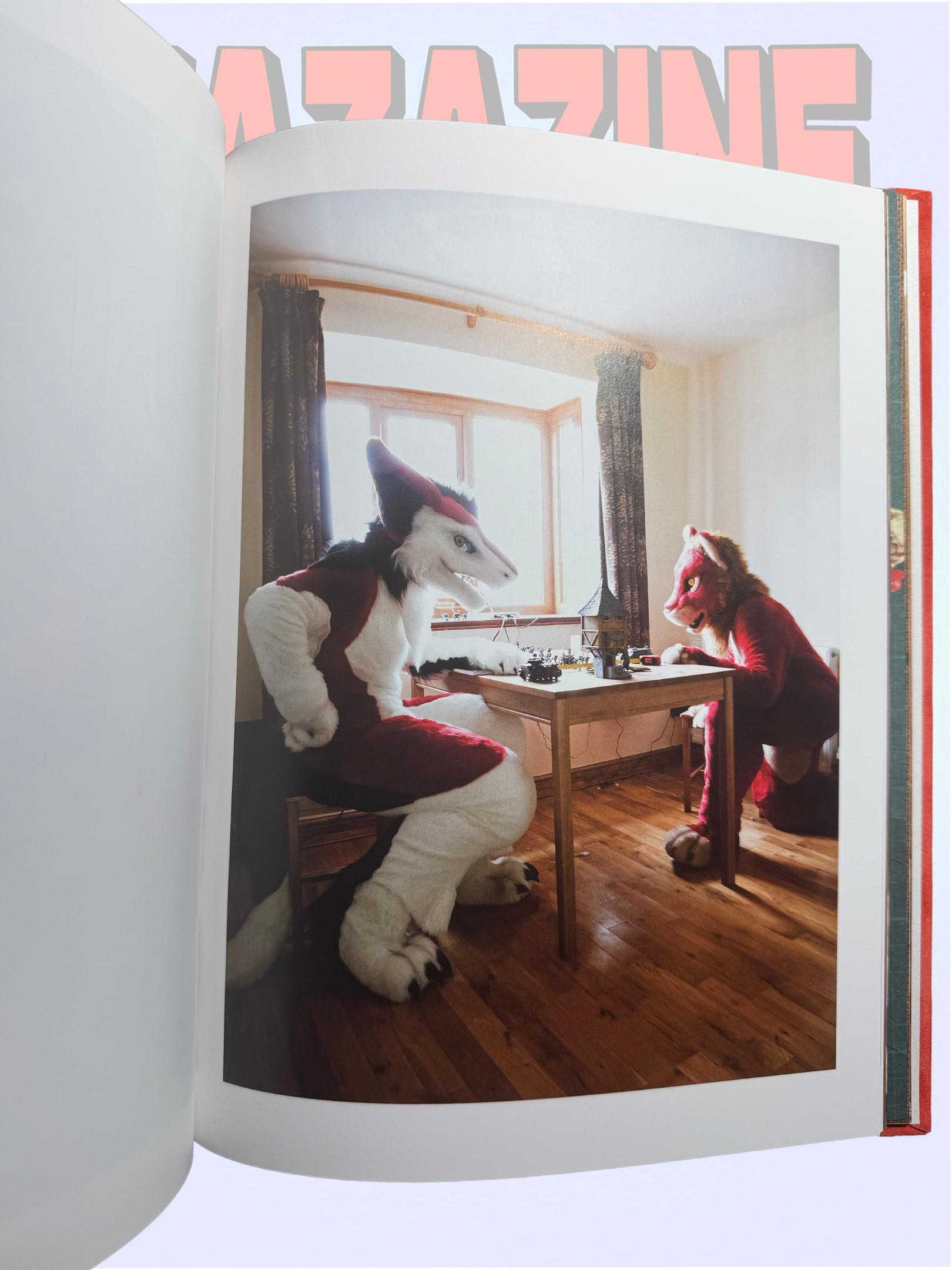 ZU HAUSE BEI DEN FURRIES