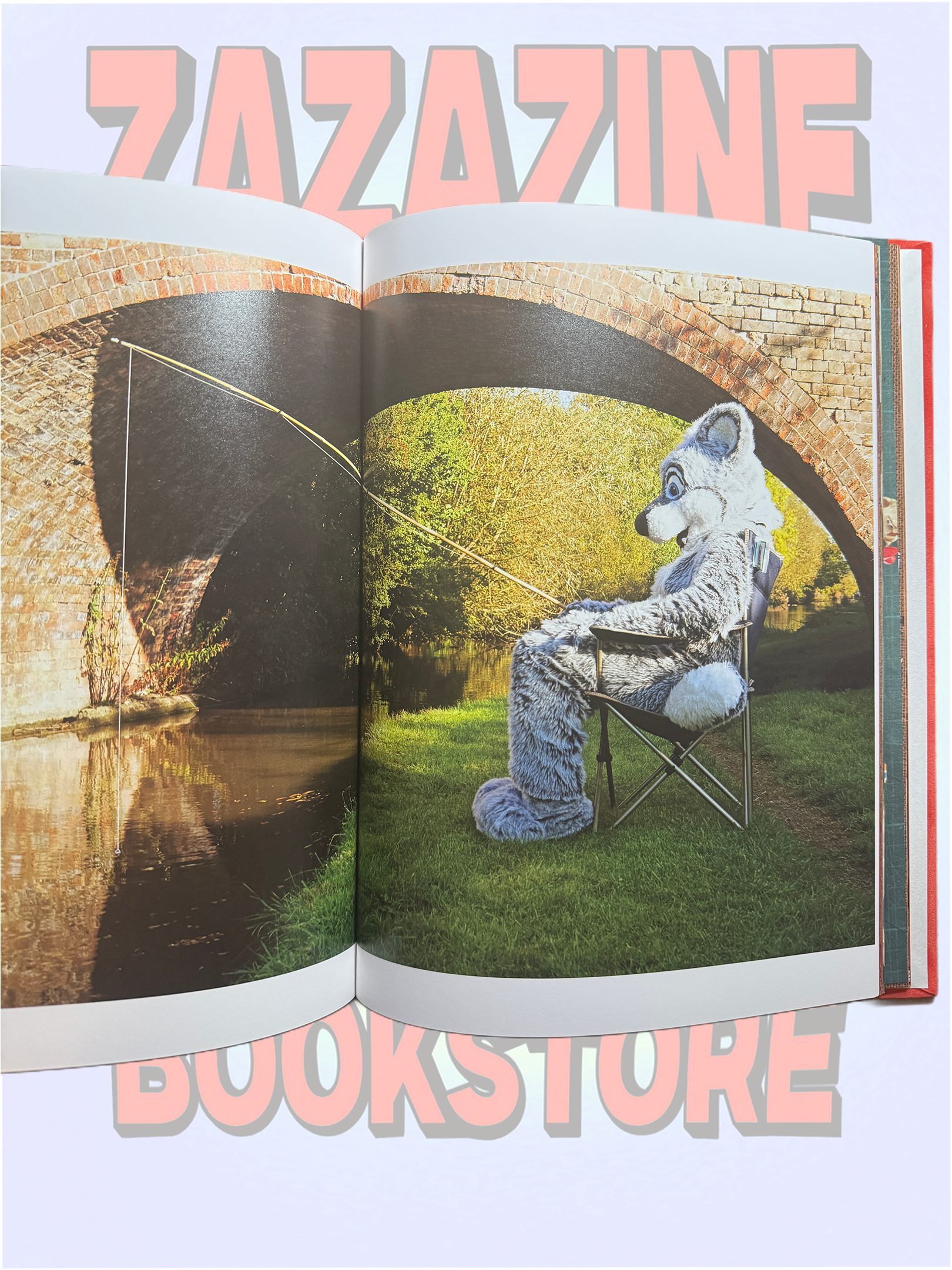 AT HOME WITH THE FURRIES
